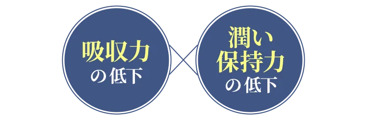 吸収力の低下×潤い保持力の低下